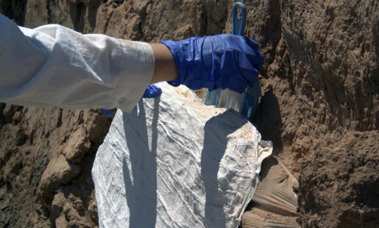 Kayalıpınar kazılarında 3 bin 900 yıl öncesine ait el baskısı ve sıvama izleri bulundu