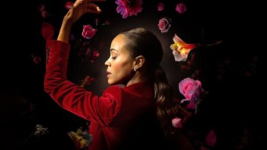 Amerikan Film Enstitüsü (AFI) 2024'ün En İyi Film ve Dizilerini Belirledi - Haberler