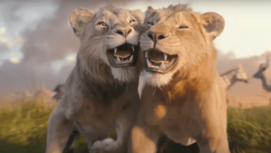"Mufasa" 2025'in İlk Haftasında ABD Gişesinin Zirvesinde! - Haberler